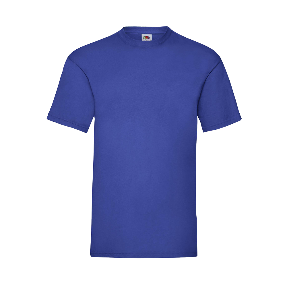 Budget Unisex Classic Fit Round Neck T-shirt ICON royal blue