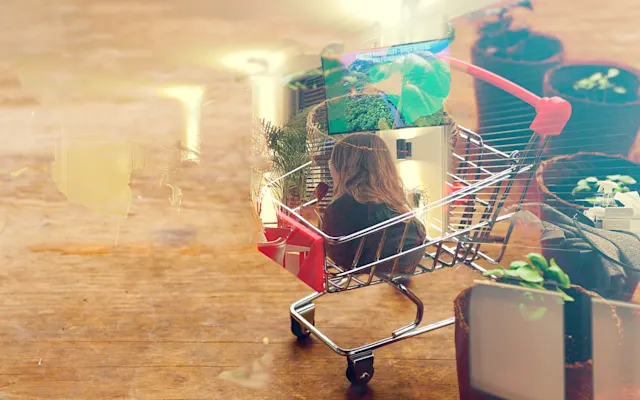 Helloprint partnership with EcoCart