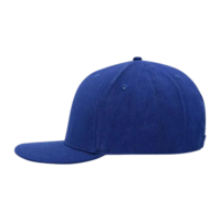 Bleu royal