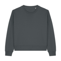 ICON - stanleystellathewomenscrewnecksweatshirt anthracite