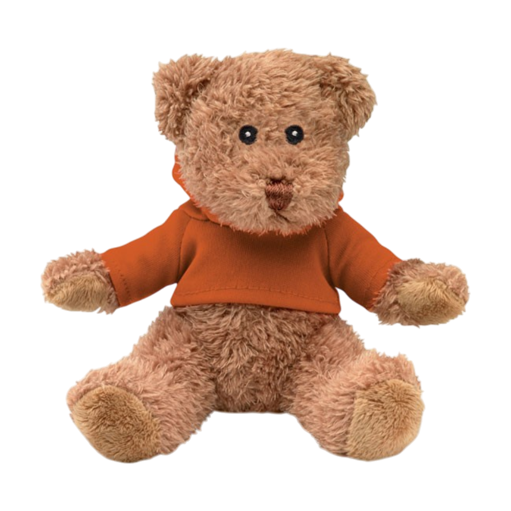 ICON - teddybeermetsweatshirt orange