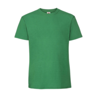 ICON - fruitoftheloomiconic195t kelly_green