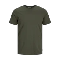 Olive Night