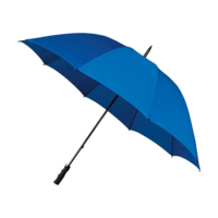 Bleu royal