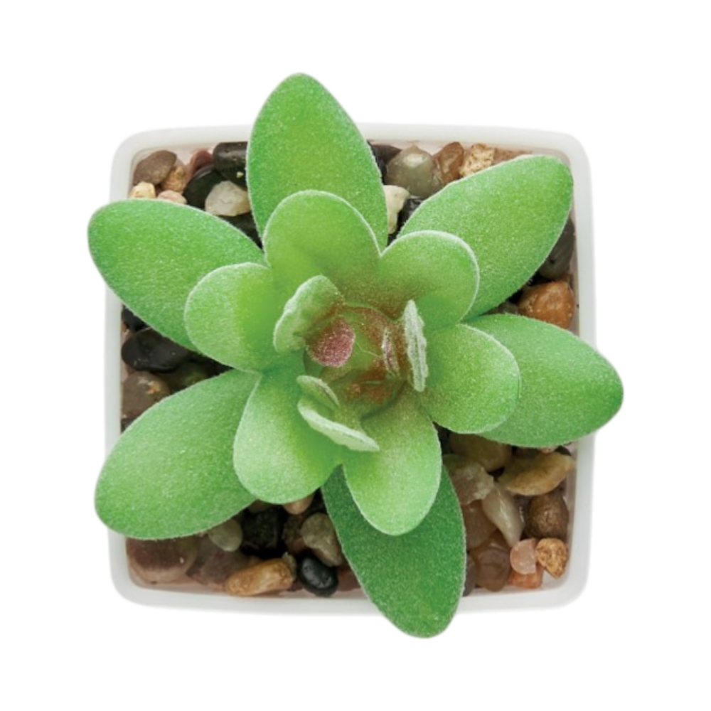 PDP - artigrapminiartificialplant square #00000000 background