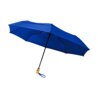 Bleu royal