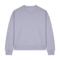 ICON - stanleystellathewomenscrewnecksweatshirt lavender