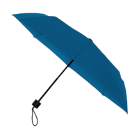 Bleu royal