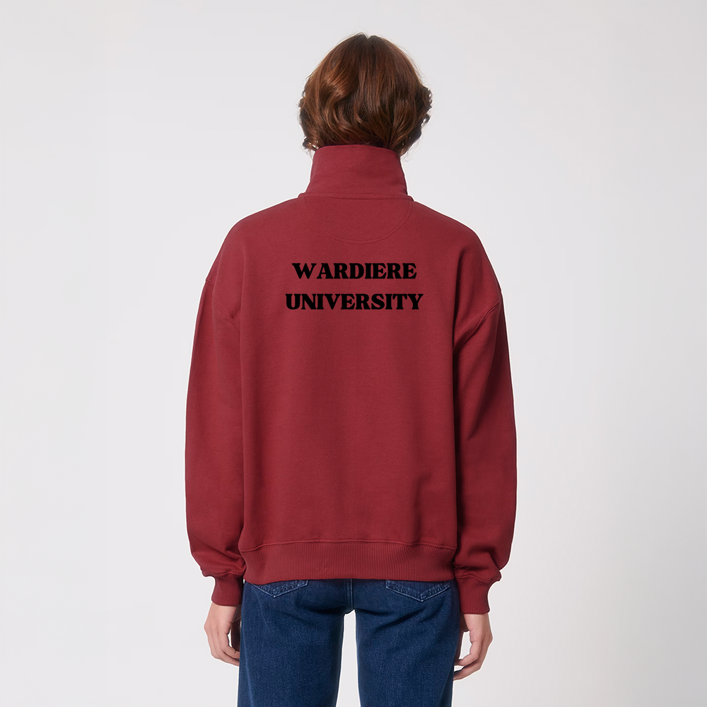 theunisexboxydryhandfeelquarterzipsweatshirt setting1