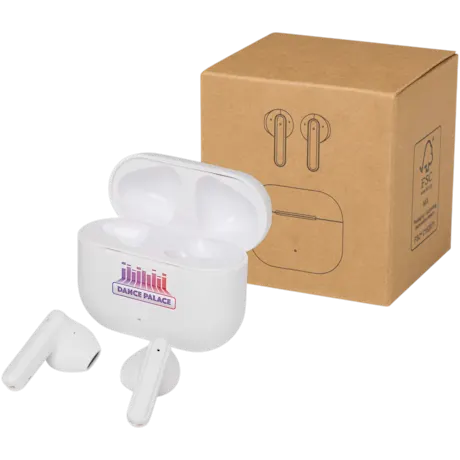 True Wireless Bluetooth Earbuds