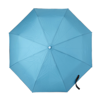 Bleu clair
