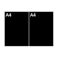A 3