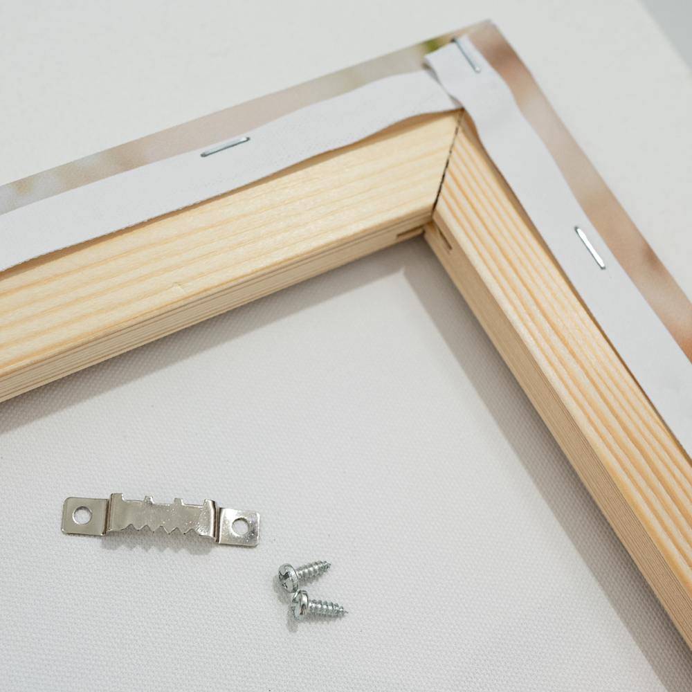 Canvas hanging system PDP