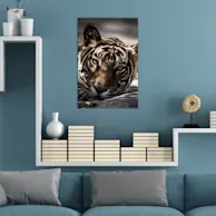 50 x 75 cm