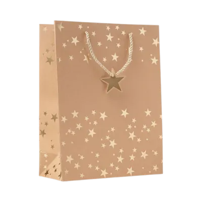 SPARKLE Gift Paper Bag