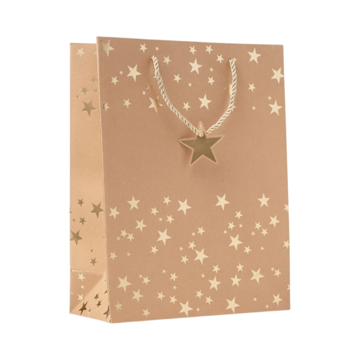 SPARKLE Gift Paper Bag main image
