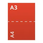A 3