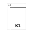 B1