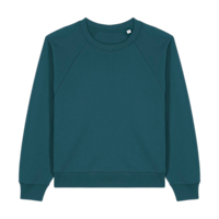 ICON - stanleystellathewomensraglansweatshirt stargazer