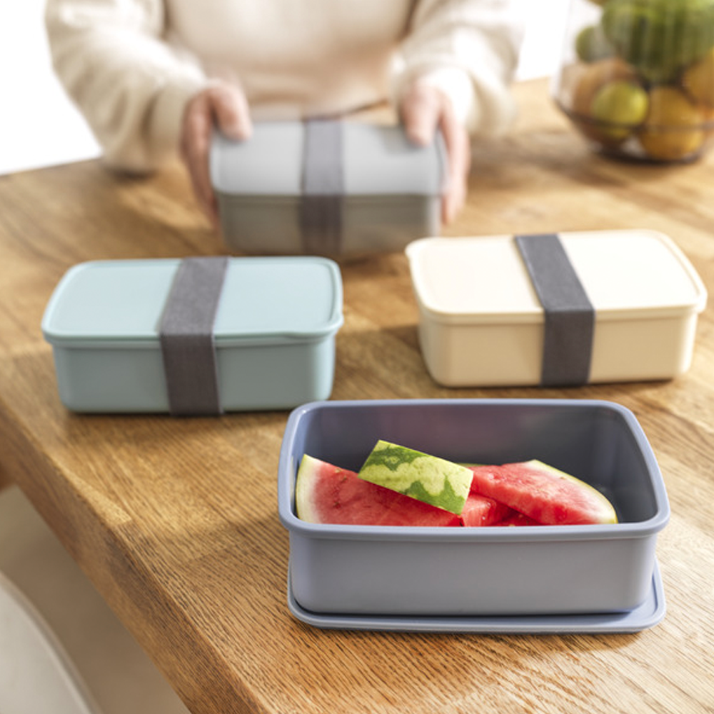 119. dovirecycledplasticlunchbox Photo