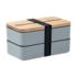 ICON - wintpplunchbox petrol