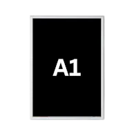 A1