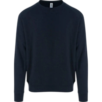 New French Navy