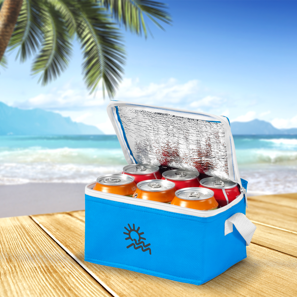 Spectrum 6-can cooler bag 4L PDP Copy