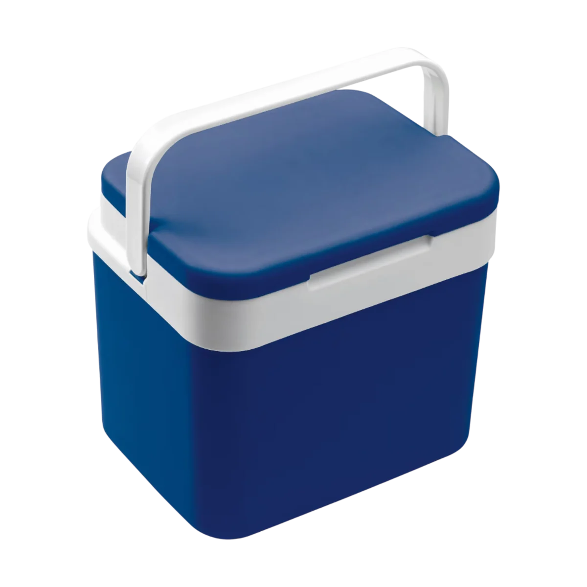 Immagine principale di Borsa frigo classica