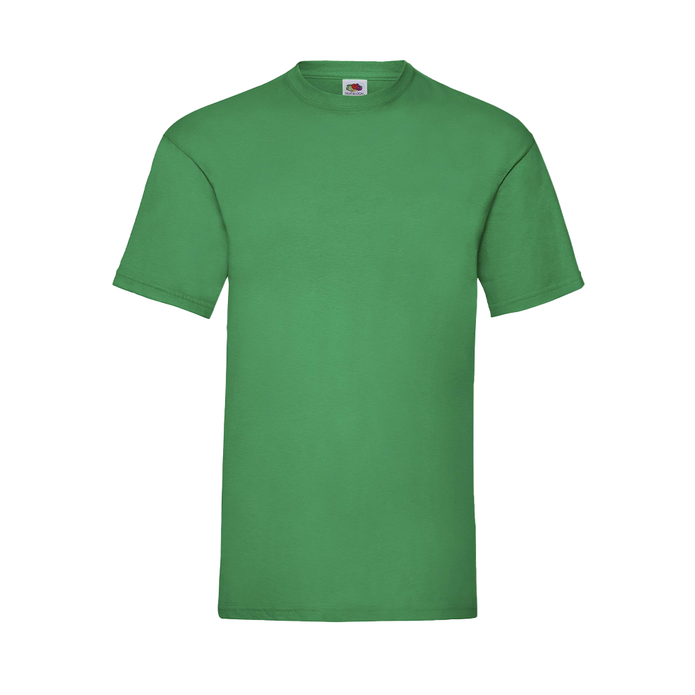 Budget Unisex Classic Fit Round Neck T-shirt ICON kelly green
