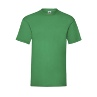 Budget Unisex Classic Fit Round Neck T-shirt ICON kelly green