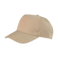 ICON - bostonprinterscap khaki