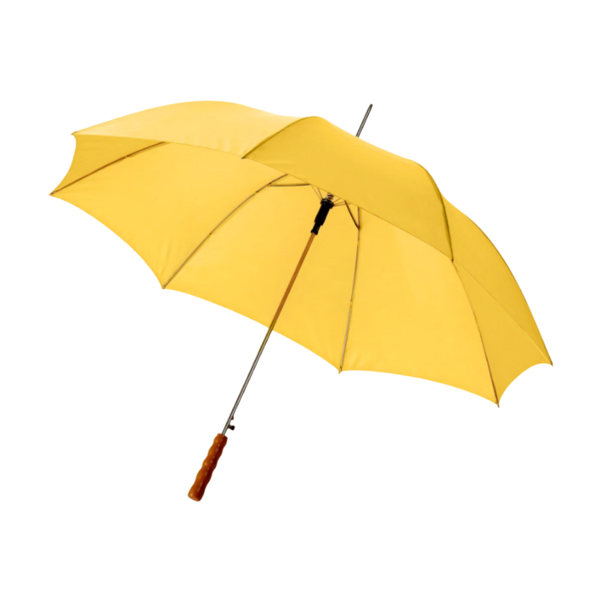 Lisa Auto Open Umbrella main image
