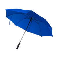 Bleu royal