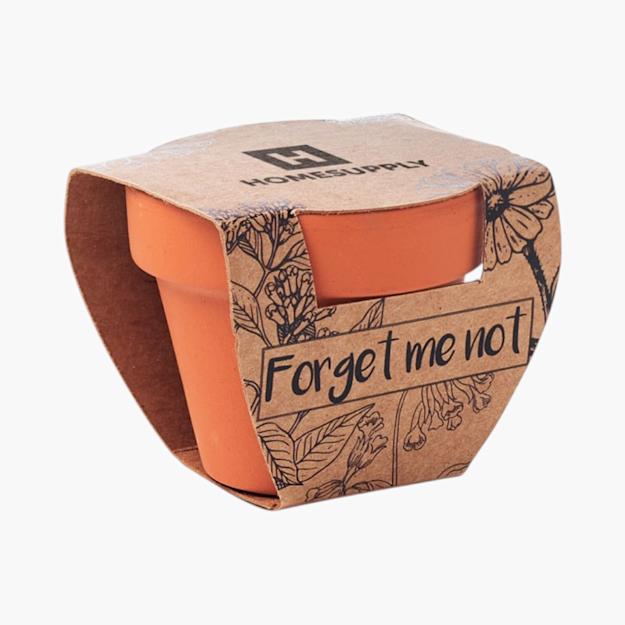 PDP - forgetmenotterracottapotforgetmenot square #F8F8F8 background