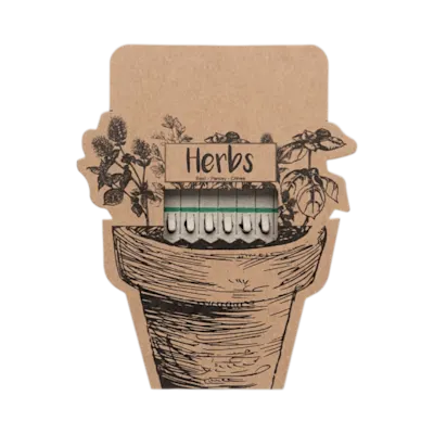 Herb Seedsticks Leyti