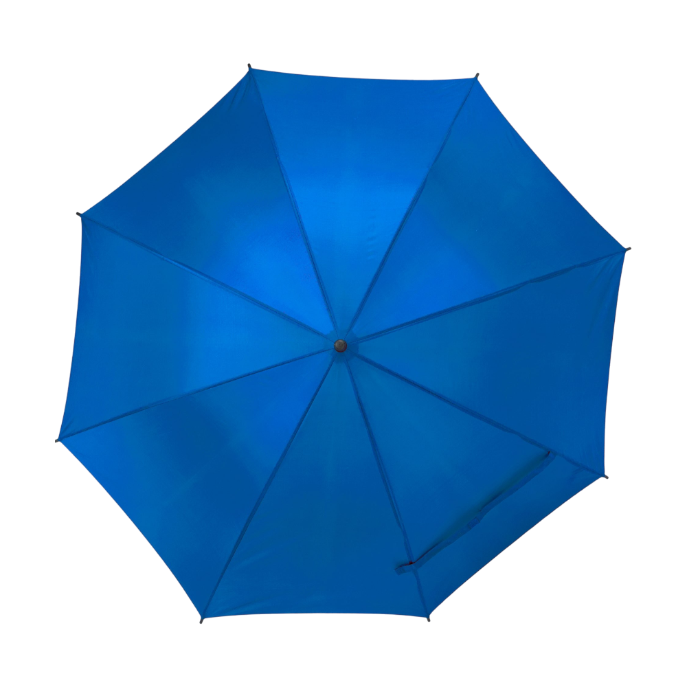 ICON - 46valueautoopenumbrella royal