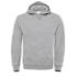 Budget hoodie BC icon grey