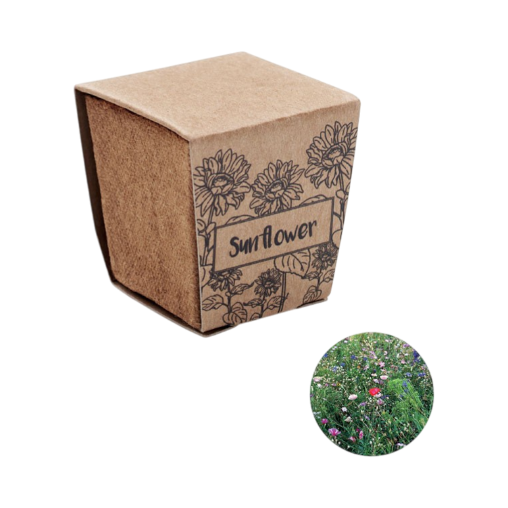 PDP - sunflowerkitsunflowergrowingkit square #00000000 background