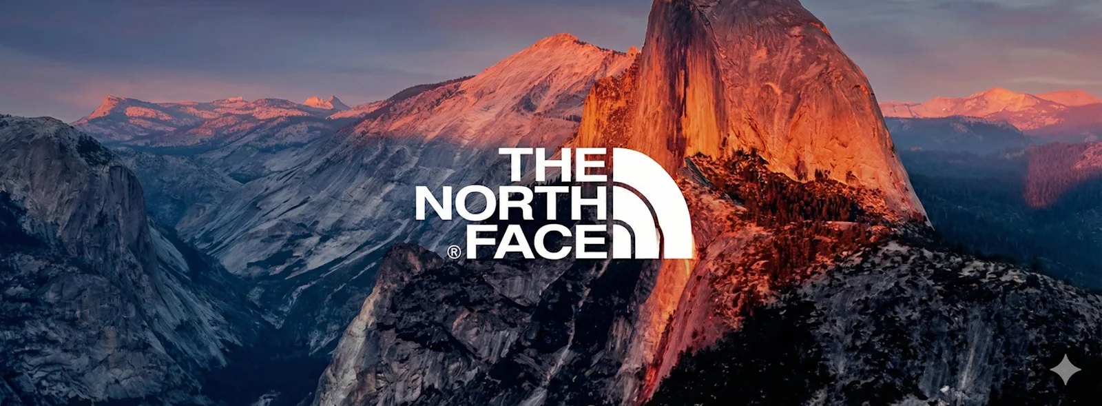 The North Face Banner 2.0