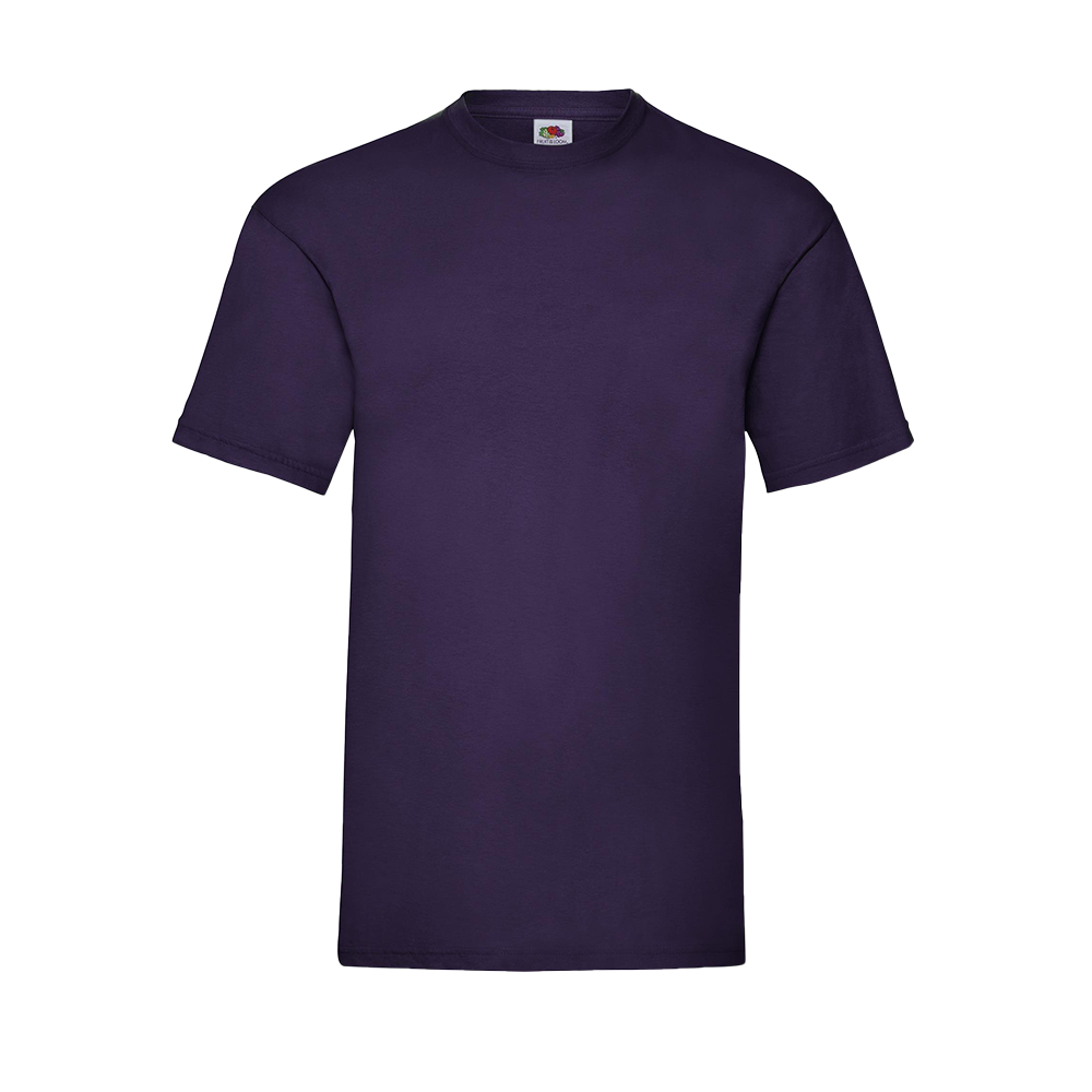 Budget Unisex Classic Fit Round Neck T-shirt ICON purple