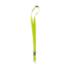 ICON - lanylanyardhookandbuckle20mm lime