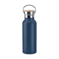 French Navy