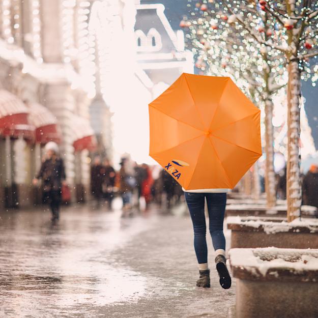 Oho 20- foldable umbrella PDP Copy 2