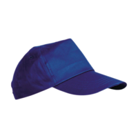 Bleu roi