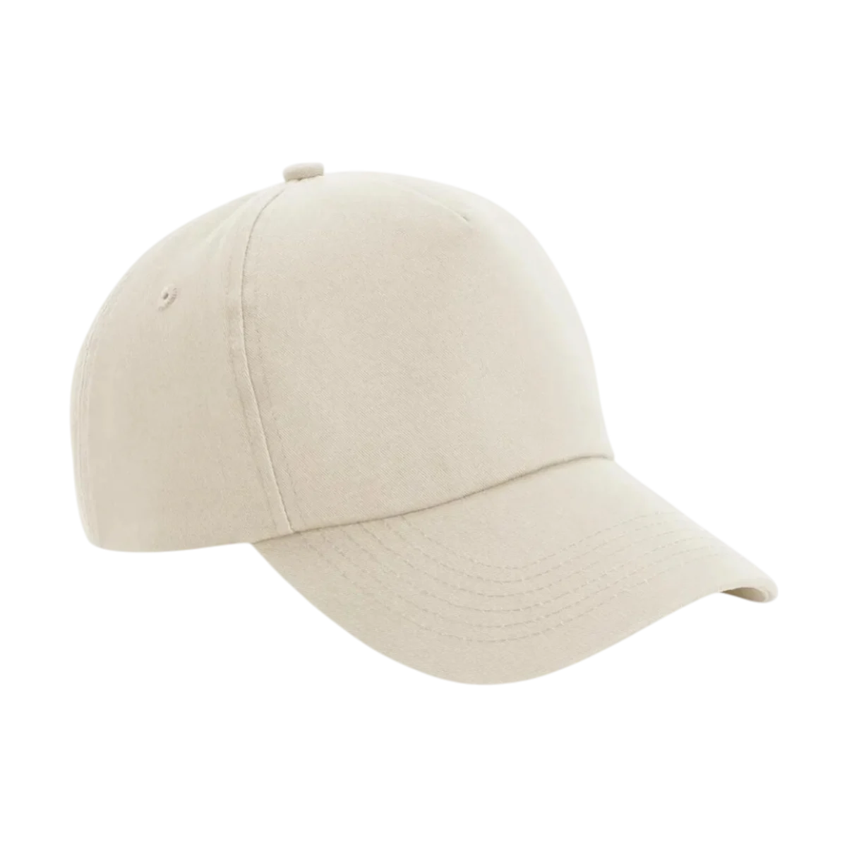 Authentic Classic Panel Cap main image