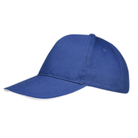 Royal Blue / White