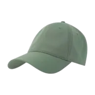 Salvia