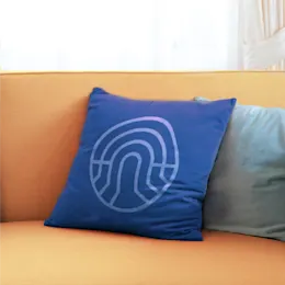 Pillows and Cushions