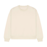 ICON - stanleystellathewomenscrewnecksweatshirt natural_raw